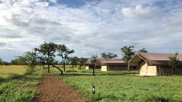 Directorio de hoteles en Serengeti