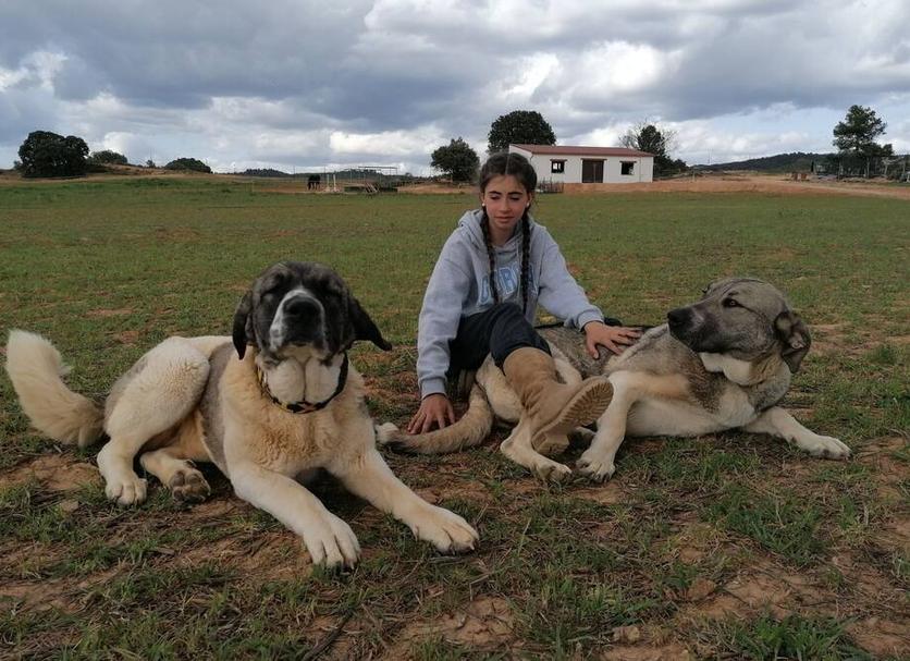 Otros Foto
