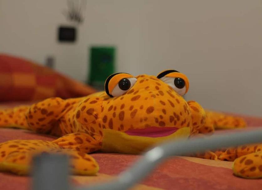Otros Foto