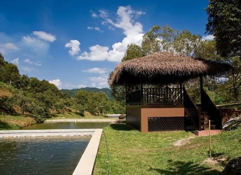Vista del exterior Foto
