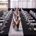 Sala de banquetes