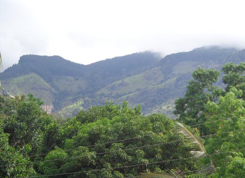 Vista del exterior Foto