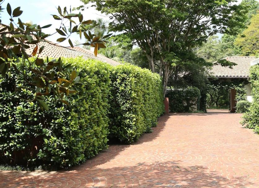 Vista del exterior Foto
