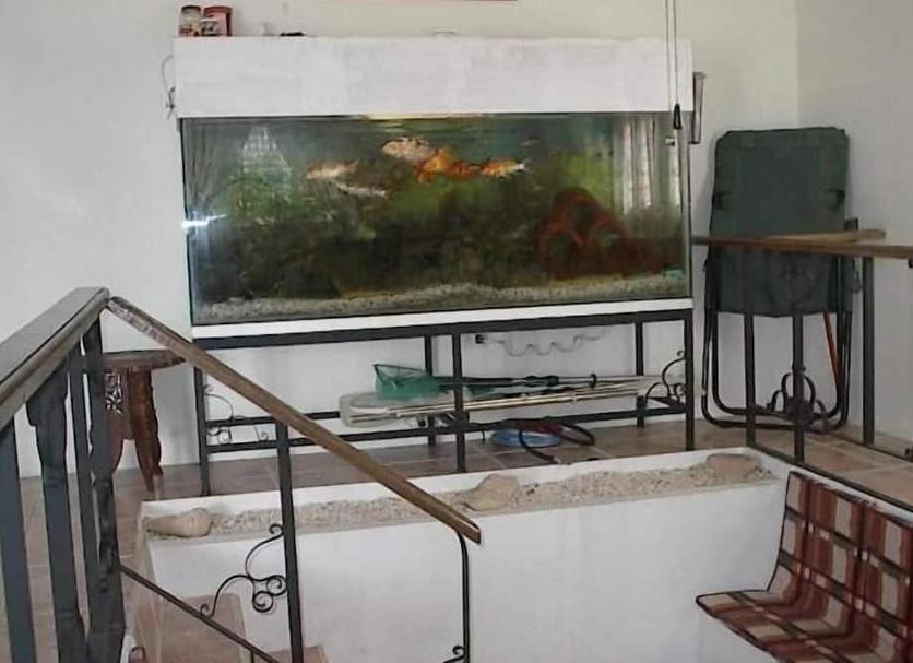 Otros Foto