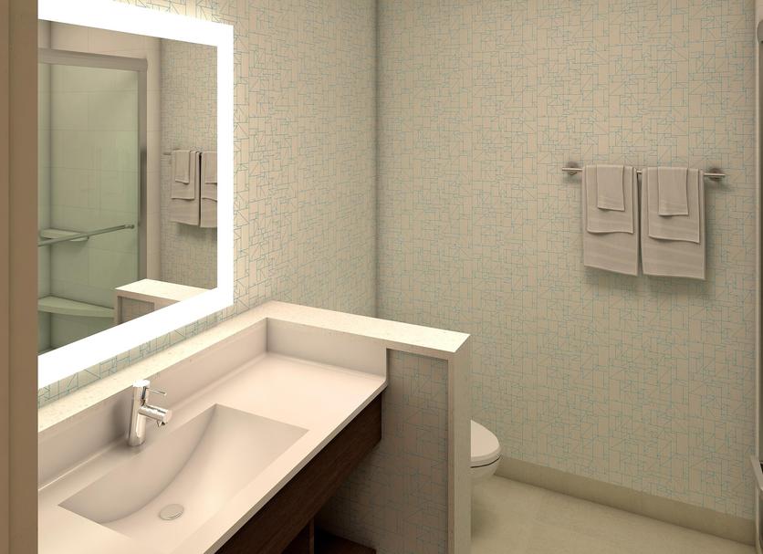 Baño Foto