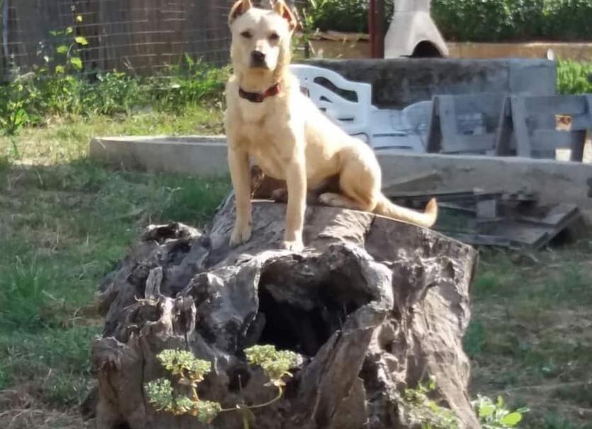 Otros Foto