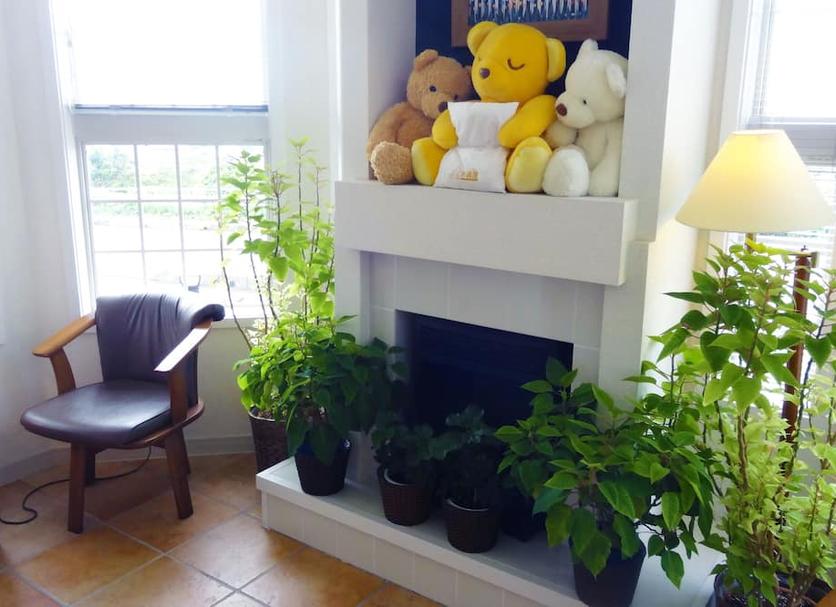 Servicio de la habitación Foto