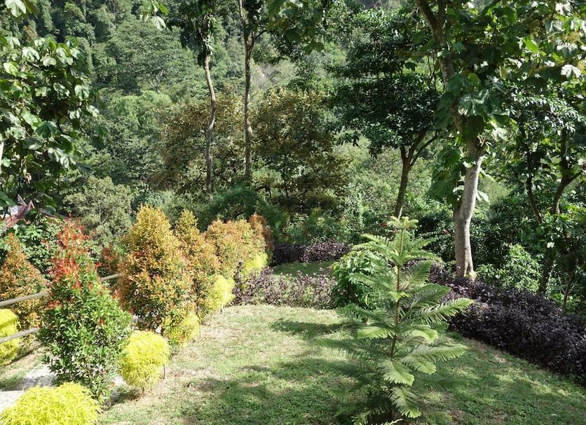 Vista del exterior Foto