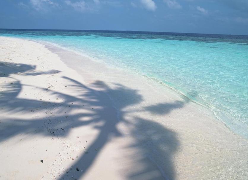 Playa Foto