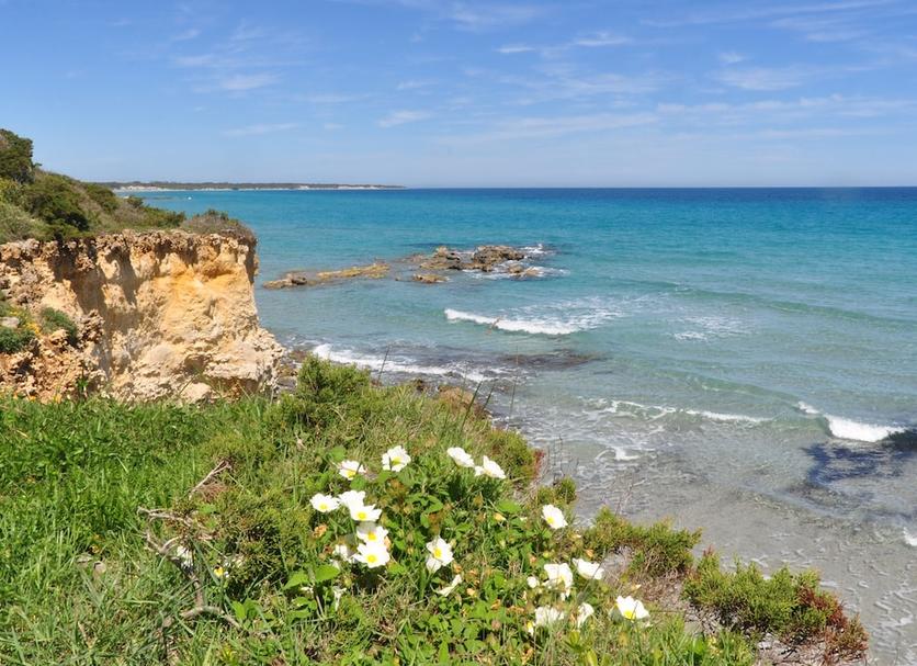 Playa Foto