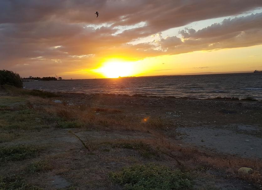 Otros Foto