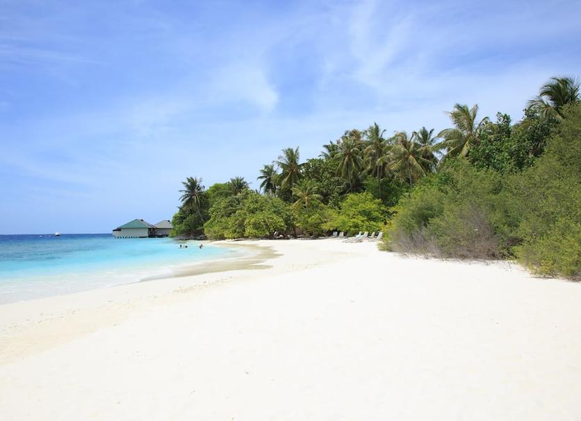 Playa Foto