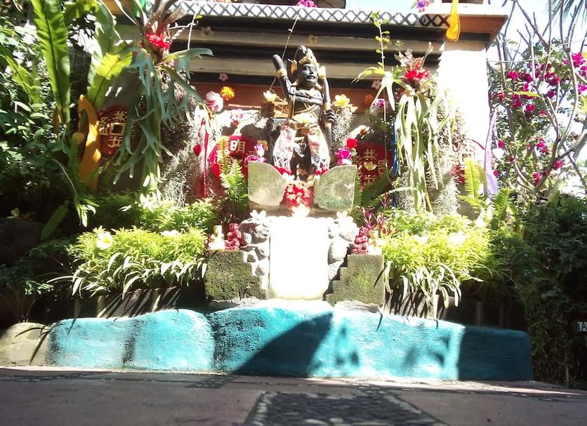 Otros Foto
