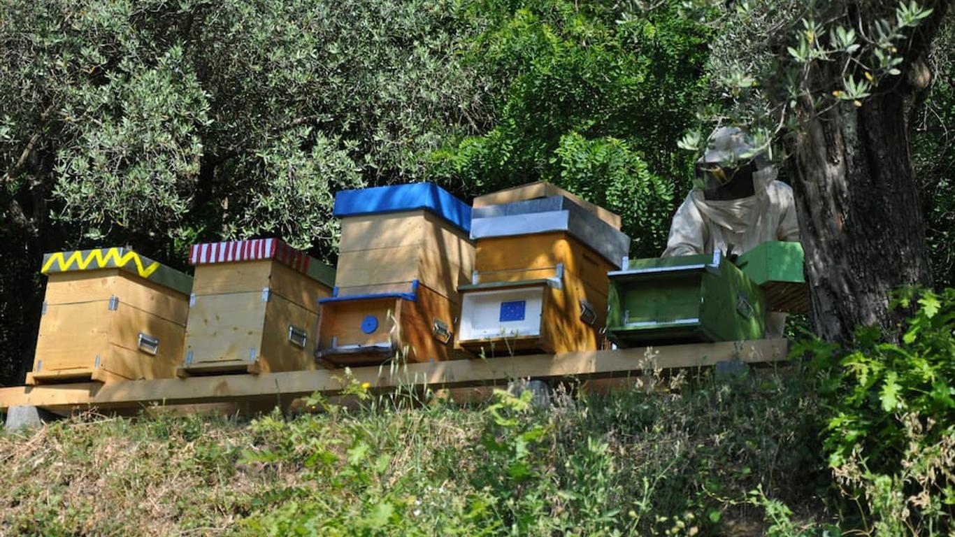 Podere La Piana