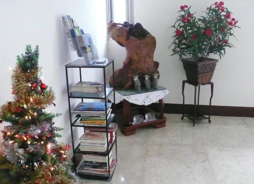 Servicio de la habitación Foto