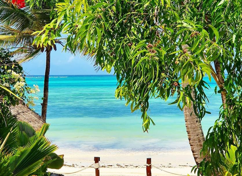 Playa Foto