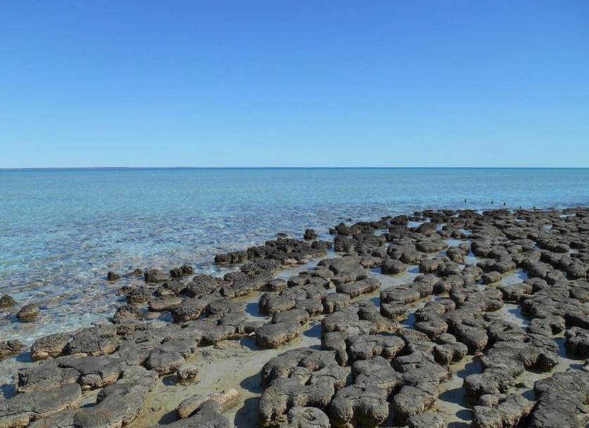 Playa Foto