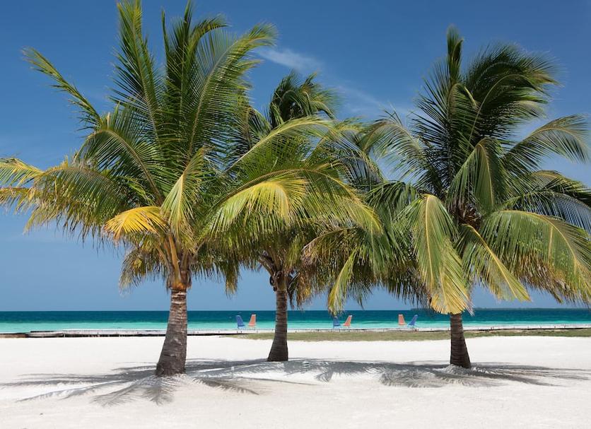Playa Foto