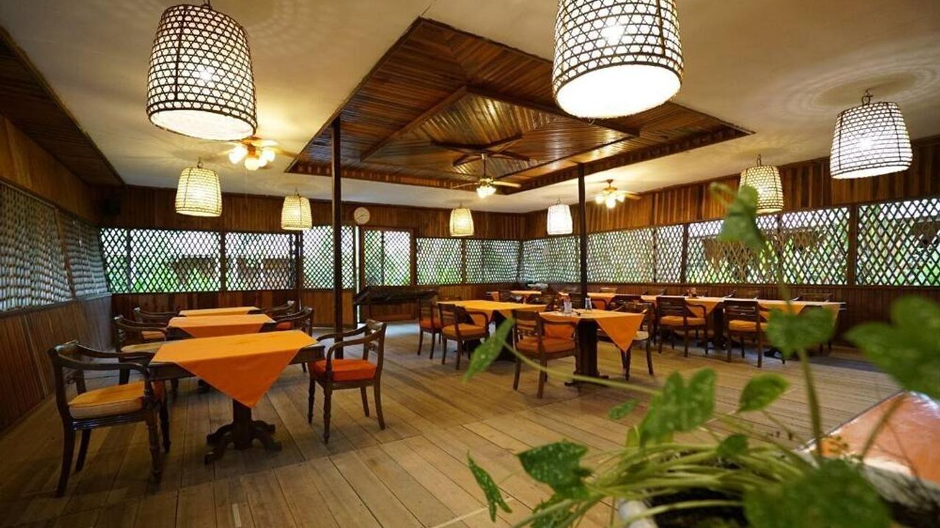 Rimba Orangutan Eco Lodge