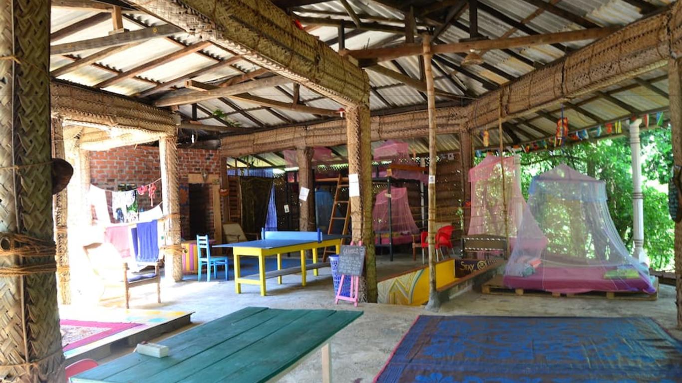 Jungle Vista