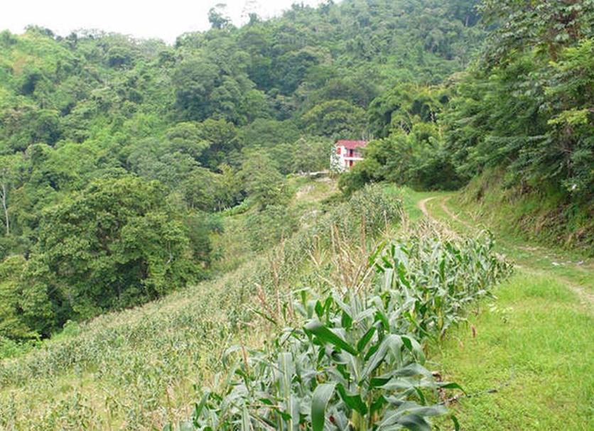 Vista del exterior Foto