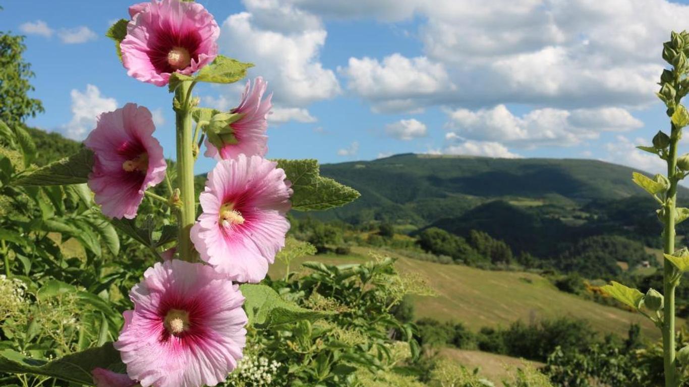 Bed & Breakfast Casa Lisetta