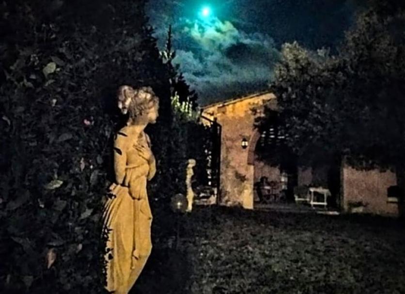 Otros Foto
