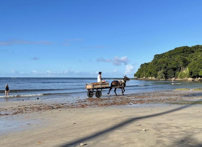 Playa Foto