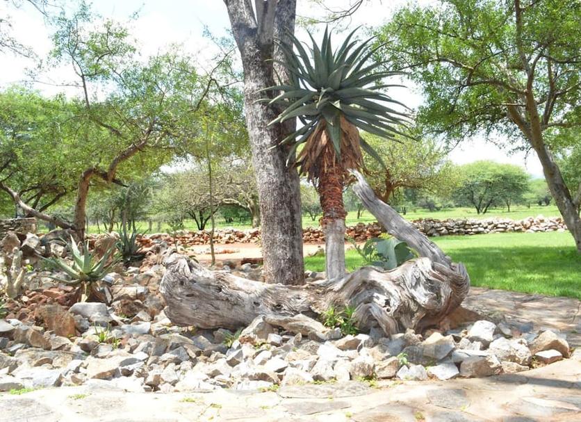 Vista del exterior Foto