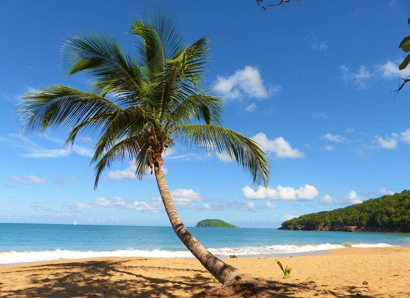Playa Foto