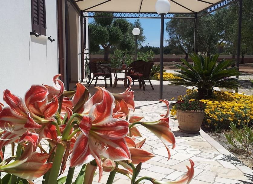 Patio Foto