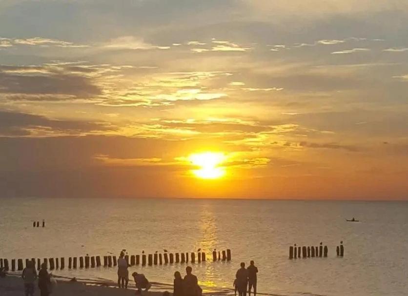 Otros Foto