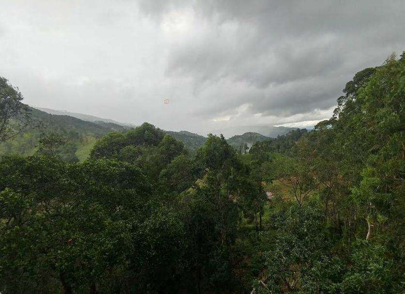Vista del exterior Foto
