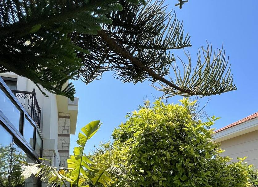 Vista del exterior Foto