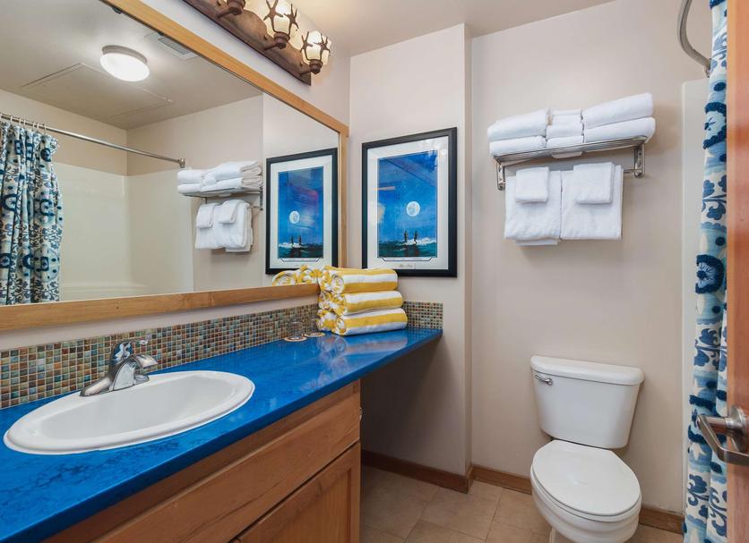 Baño Foto