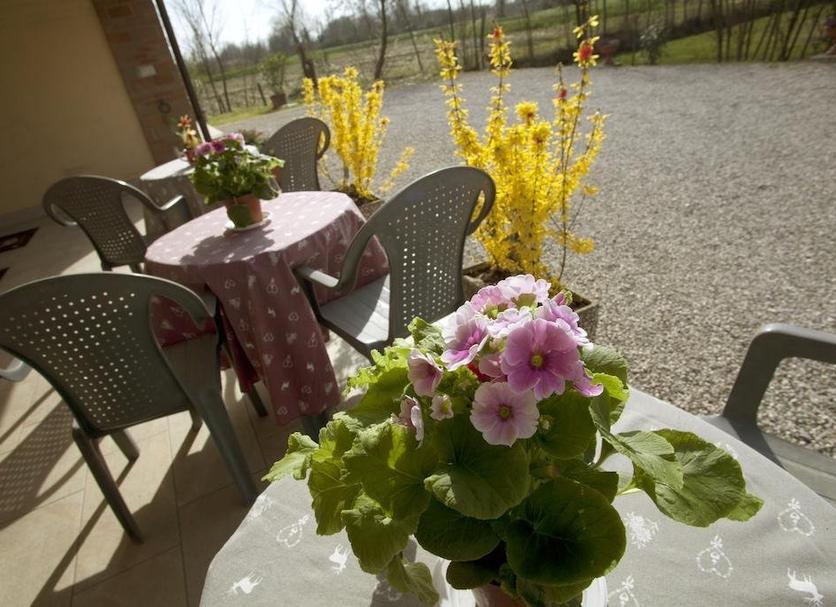 Patio Foto
