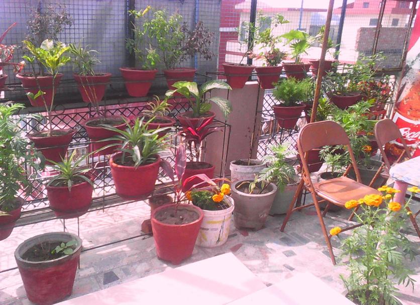 Patio Foto