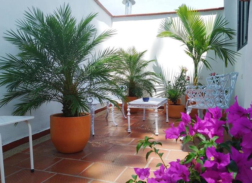 Patio Foto
