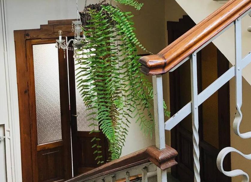 Servicio de la habitación Foto
