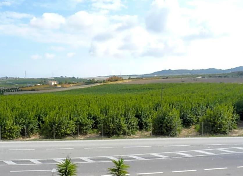 Vista del exterior Foto
