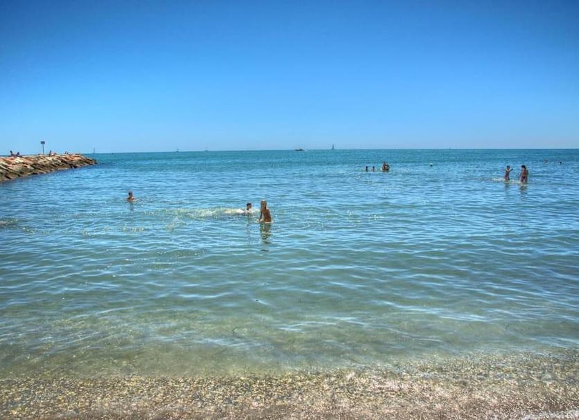 Otros Foto