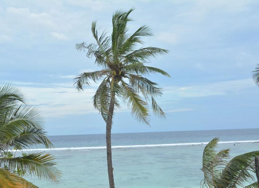 Playa Foto