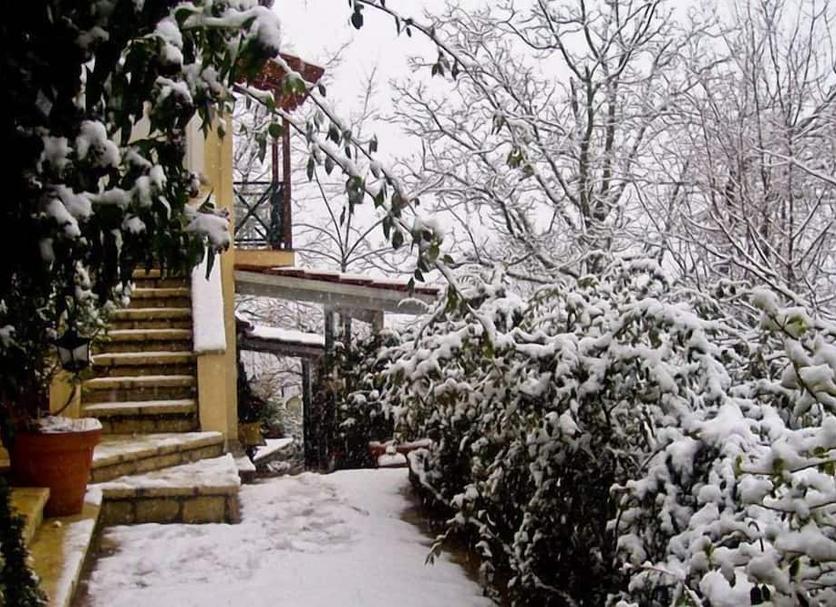 Vista del exterior Foto