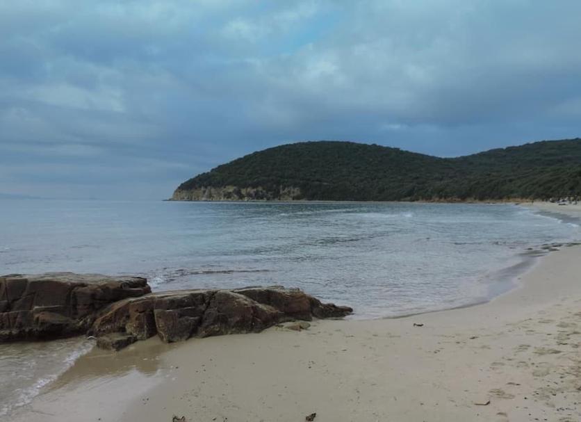 Playa Foto