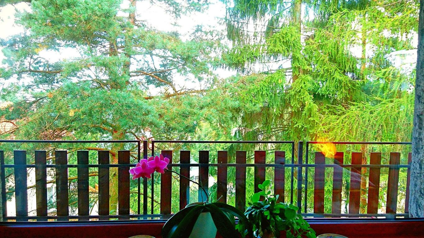 Penzion Bor