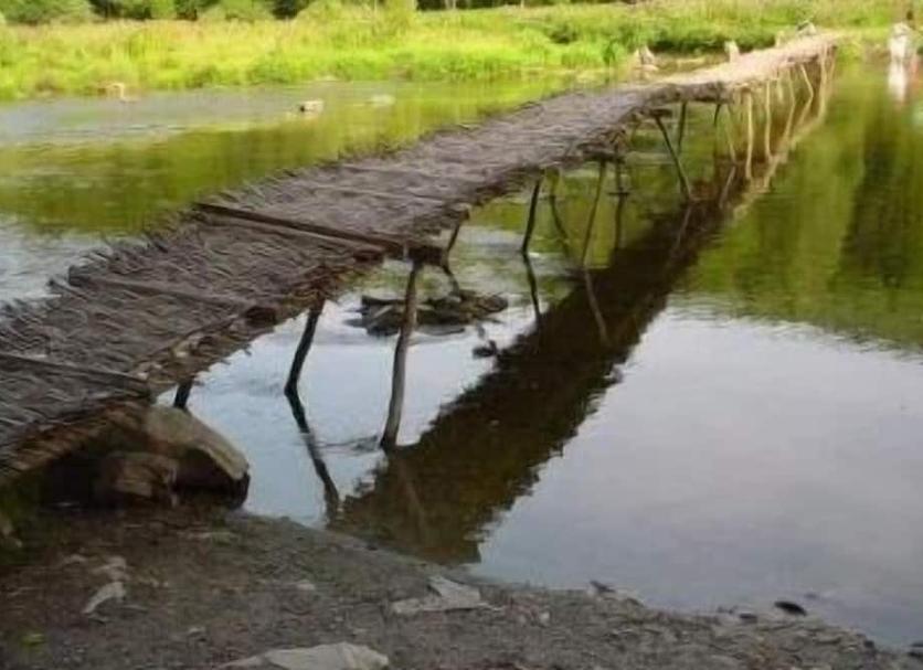 Otros Foto