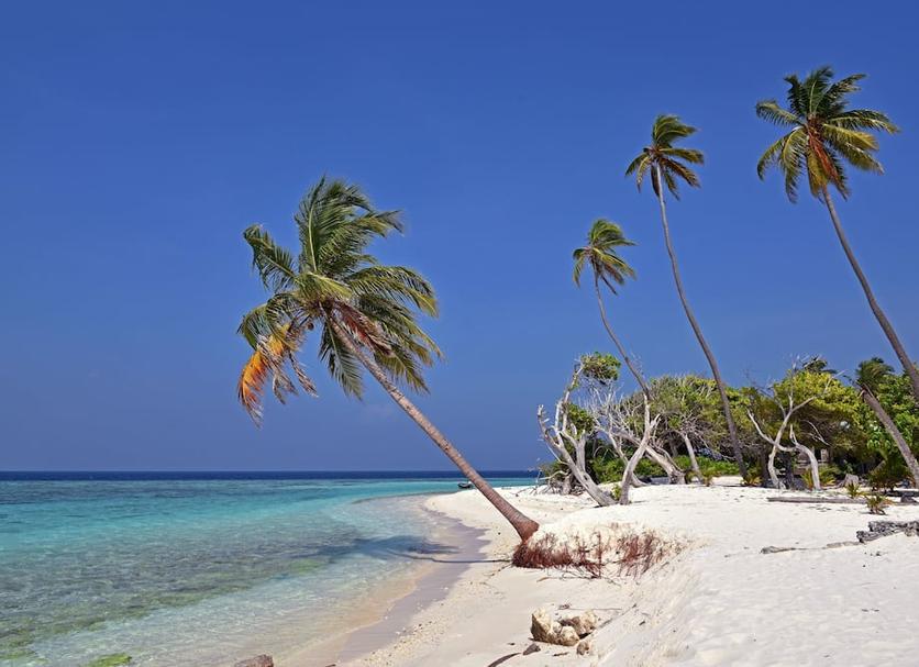 Playa Foto