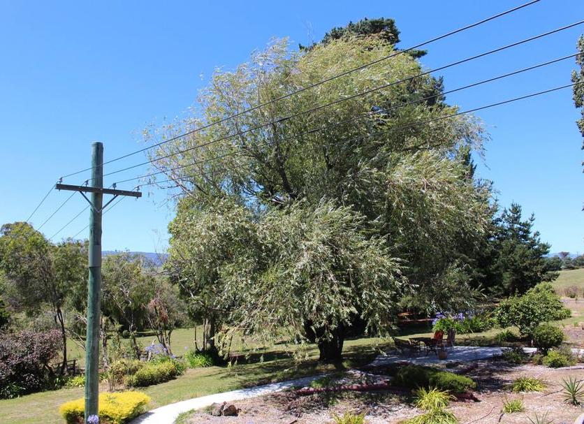 Vista del exterior Foto
