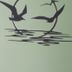 Otros