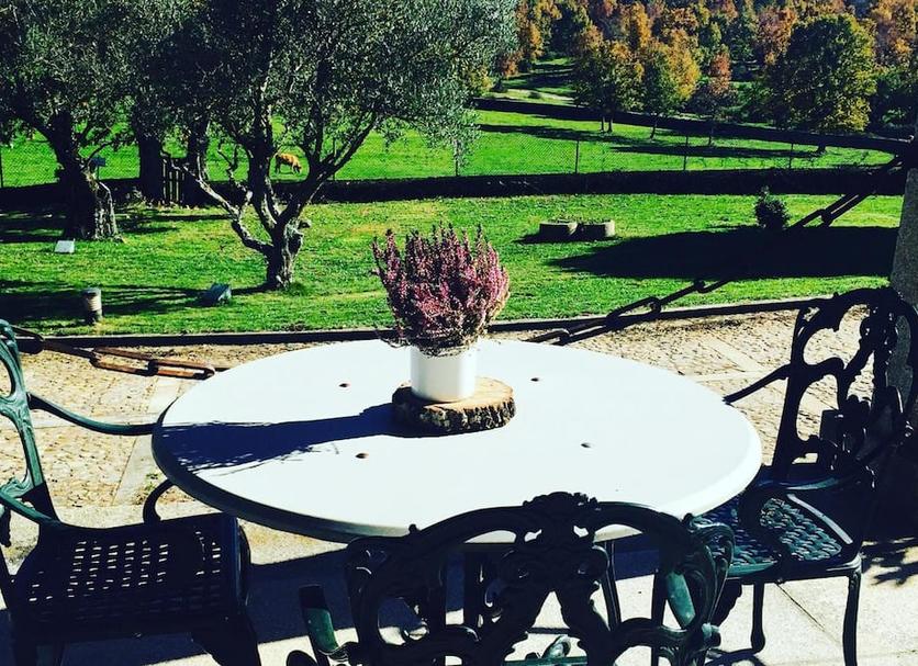 Patio Foto